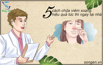 5 cách chữa viêm xoang hiệu quả tức thì ngay tại nhà, bạn nên thử ngay