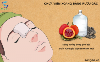 Mẹo chữa khỏi viêm xoang mãn tính chỉ bằng hạt gấc ngâm rượu