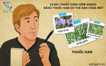 23 bài thuốc chữa viêm xoang bằng thuốc nam có thể bạn chưa biết ( phần 1)